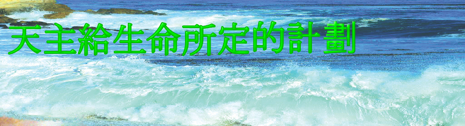 images/headerwaves